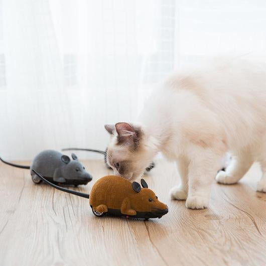 Remote Control Cat Toy Mouse Durable Build And Powerful Motor
