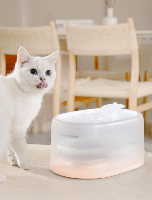 Smart UVC Sterilizing Heated Cat Water Fountain With Quiet Circulation For Fresh Hydration All Year