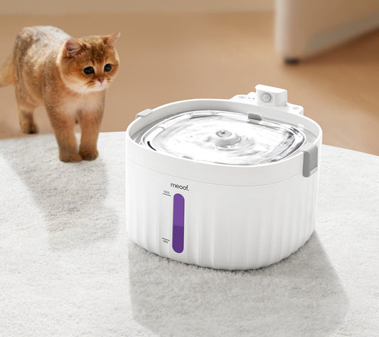 Wireless Smart Sensor Pet Water Fountain With Ceramic Plate Rechargeable Battery Motion Activated Flow Filtration
