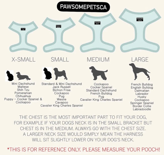 Pawsome Pets New York Adjustable Silk Harness Blue For Pets Weddings And Special Occasions