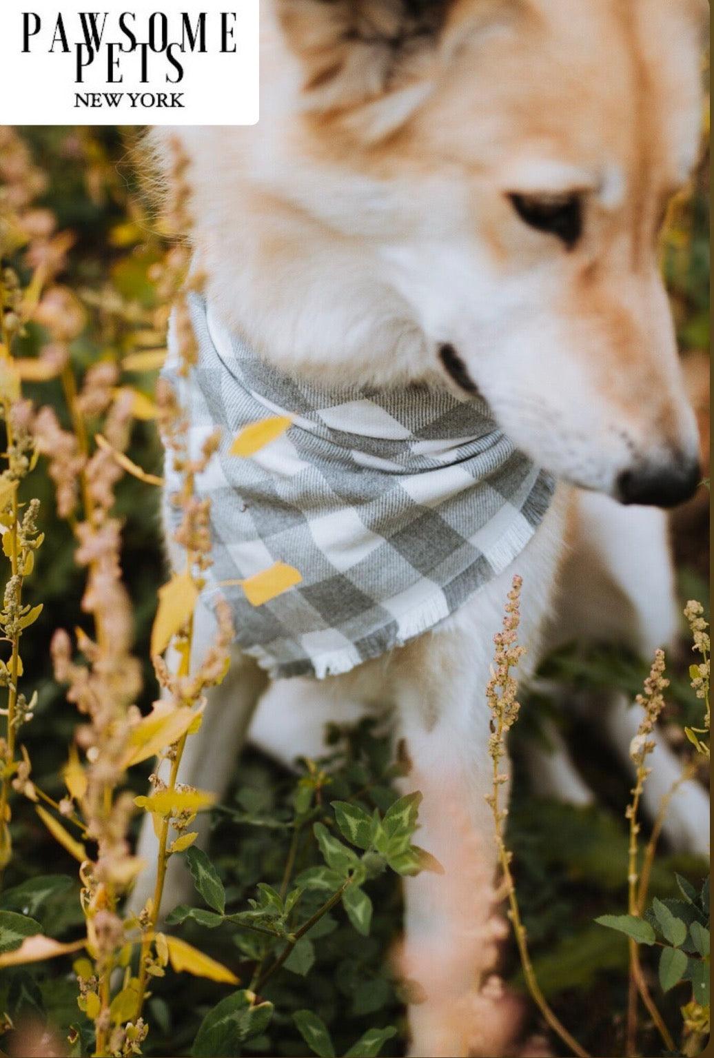 Sawyer Cat Bandana Handmade From 100 Percent Cotton Custom Fit Square Pet Bandana By Pawsome Pets