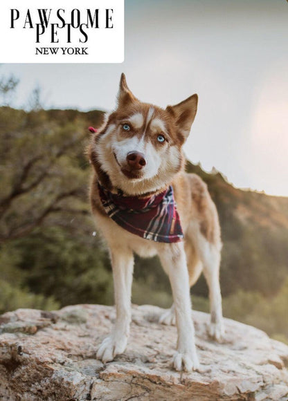 Handmade 100 Percent Cotton Bandana For Dogs And Cats Tinsel Edition With Pawsome Pets Logo
