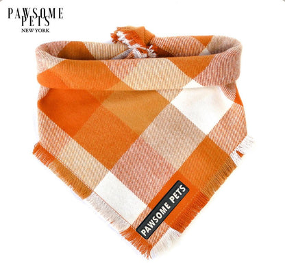 Pumpkin Cat Bandana Handmade 100 Percent Cotton With Pawsome Pets Logo Square Fit Final Sale