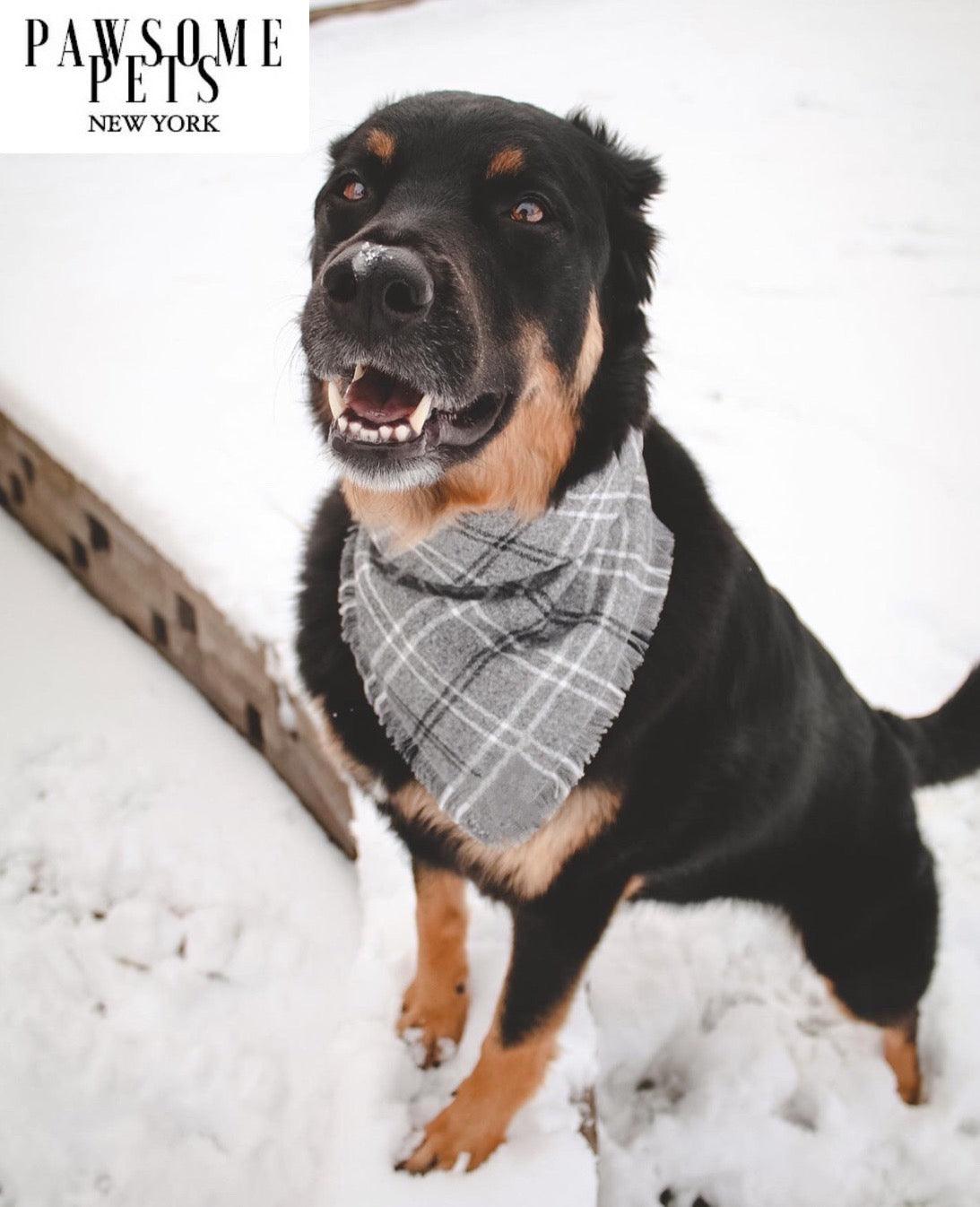 Pawsome Pets Rainer Bandana Handmade From 100 Percent Cotton For Dogs Final Sale
