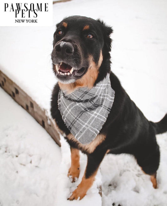 Pawsome Pets Rainer Bandana Handmade From 100 Percent Cotton For Dogs Final Sale
