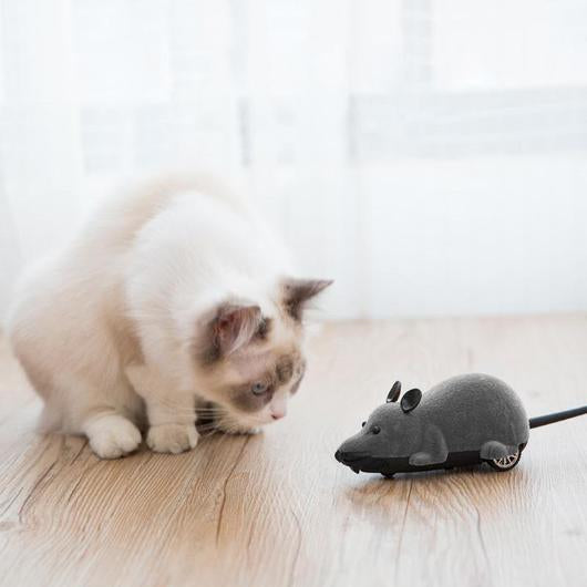 Remote Control Cat Toy Mouse Durable Build And Powerful Motor