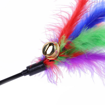 5 Piece Interactive Cat Teaser Wands Set With Feathers And Bell For Engaging Playtime And Exercise