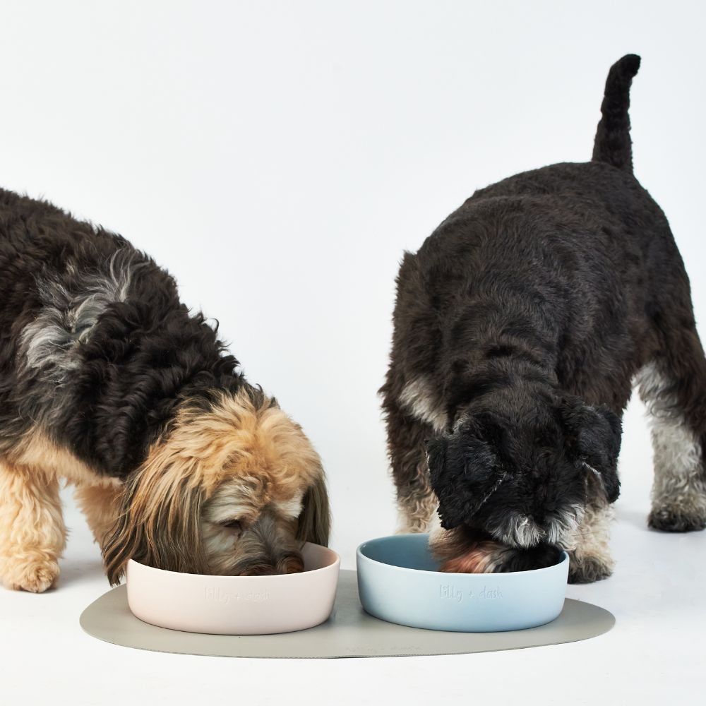 Minimalist Ceramic Pet Bowls Set Microwave Safe Dishwasher Safe Hand Glazed