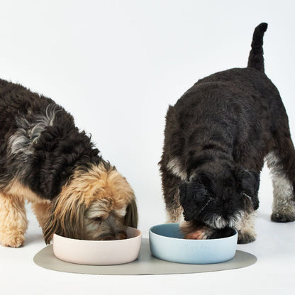 Minimalist Ceramic Pet Bowls Set Microwave Safe Dishwasher Safe Hand Glazed