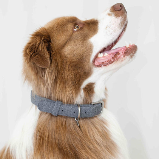 Boucle Cat Collar 100 Percent Polyester Three Sizes Small 20 35 cm Medium 30 45 cm Large 40 55 cm