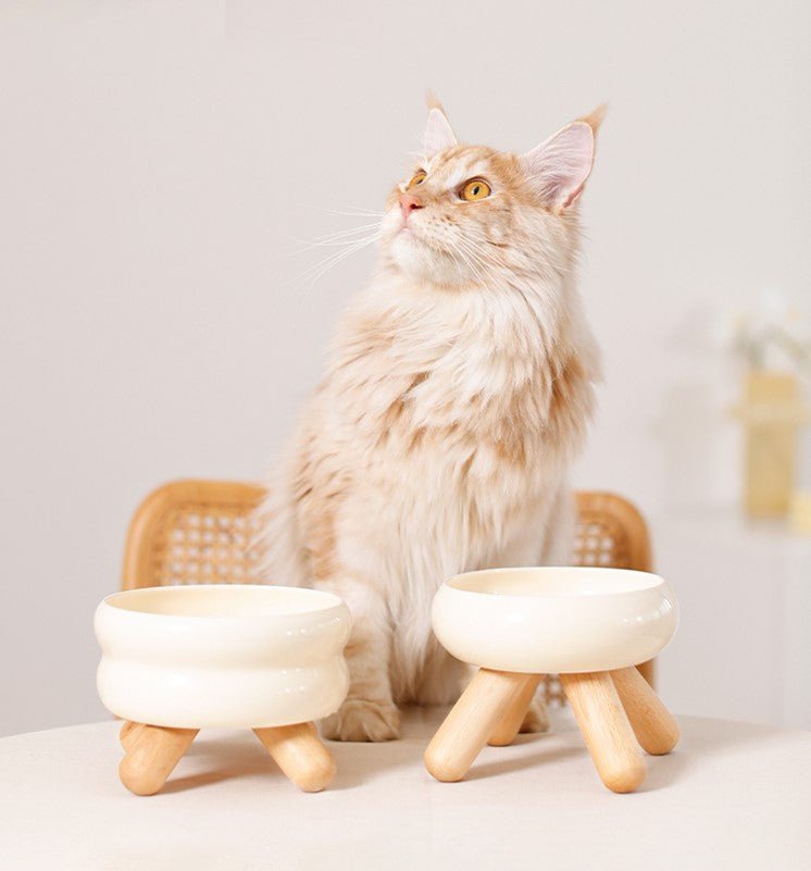 Gulu Elevated Ceramic Pet Water Bowl With Wooden Stand For Dogs And Cats Promotes Healthy Hydration And Easy Access