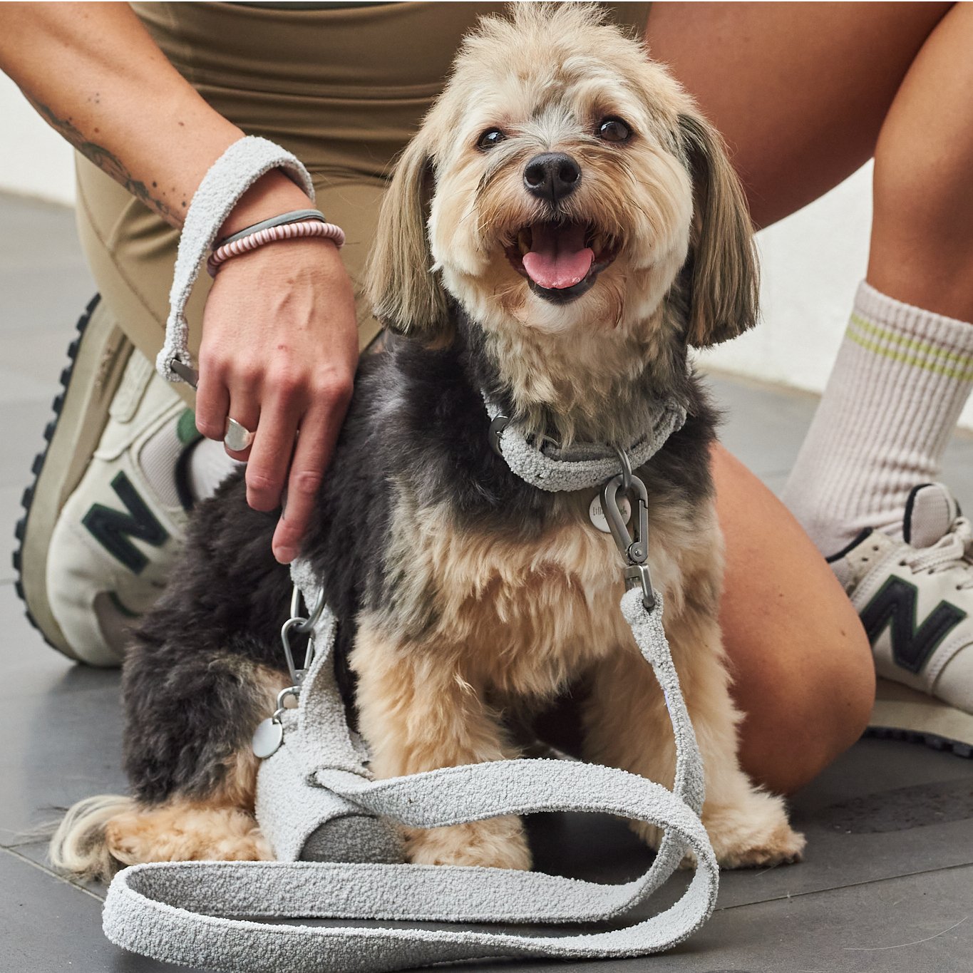 Boucle Dog Leash 150cm With Handle Buckle 100 Percent Polyester City Walking Accessory For Everyday Use