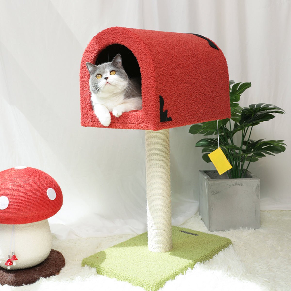 Mailbox Red Cat Tree Climbing Frame With Innovative Design For Indoor Cats And Resting Perches