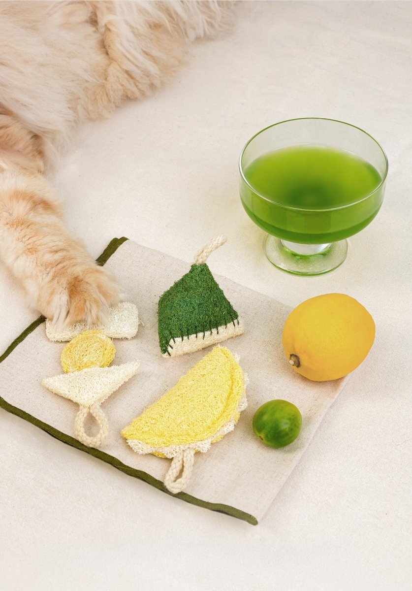 Natural Loofah Catnip Cat Toy Food Shape Series For Dental Health And Eco Friendly Chews