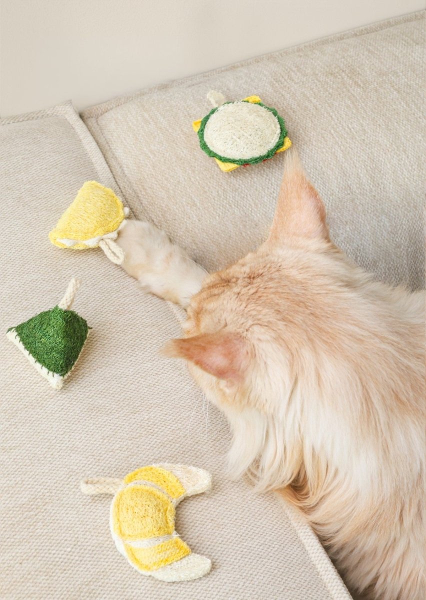 Natural Loofah Catnip Cat Toy Food Shape Series For Dental Health And Eco Friendly Chews