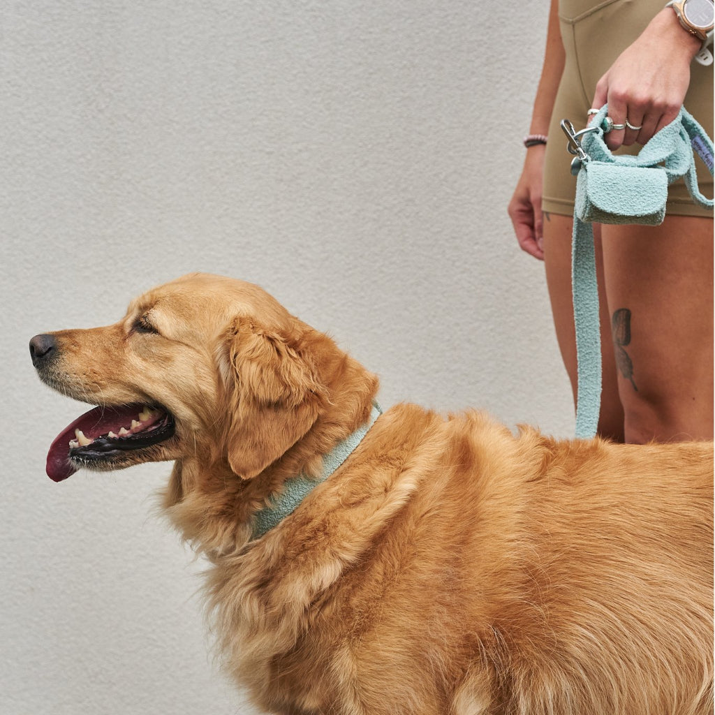 Lilly and Dash Cloud Boucle Waste Bag Holder for Leash 100 Percent Polyester with Dual Connection Points