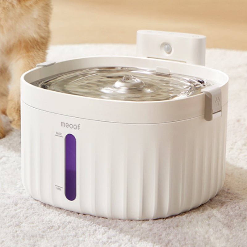 Wireless Smart Sensor Pet Water Fountain With Ceramic Plate Rechargeable Battery Motion Activated Flow Filtration