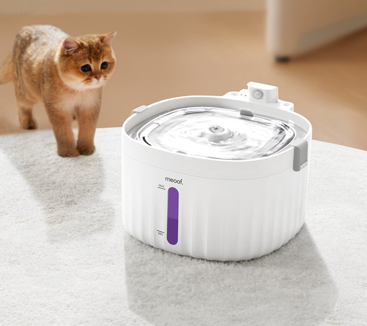 Wireless Smart Sensor Pet Water Fountain With Ceramic Plate Rechargeable Battery Motion Activated Flow Filtration