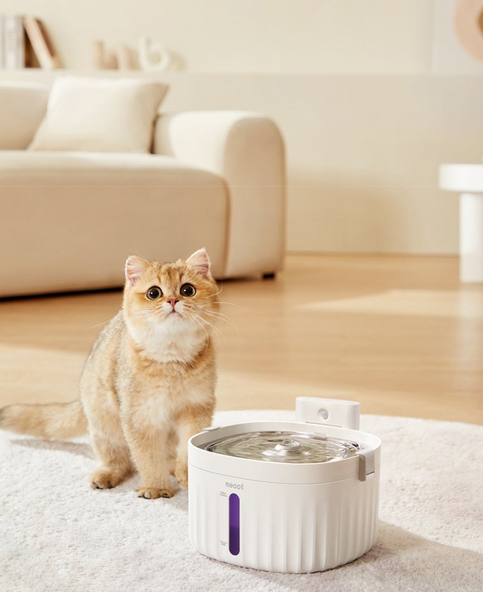 Wireless Smart Sensor Pet Water Fountain With Ceramic Plate Rechargeable Battery Motion Activated Flow Filtration