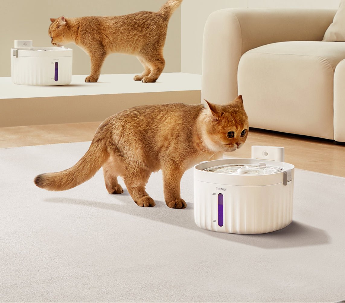 Wireless Smart Sensor Pet Water Fountain With Ceramic Plate Rechargeable Battery Motion Activated Flow Filtration